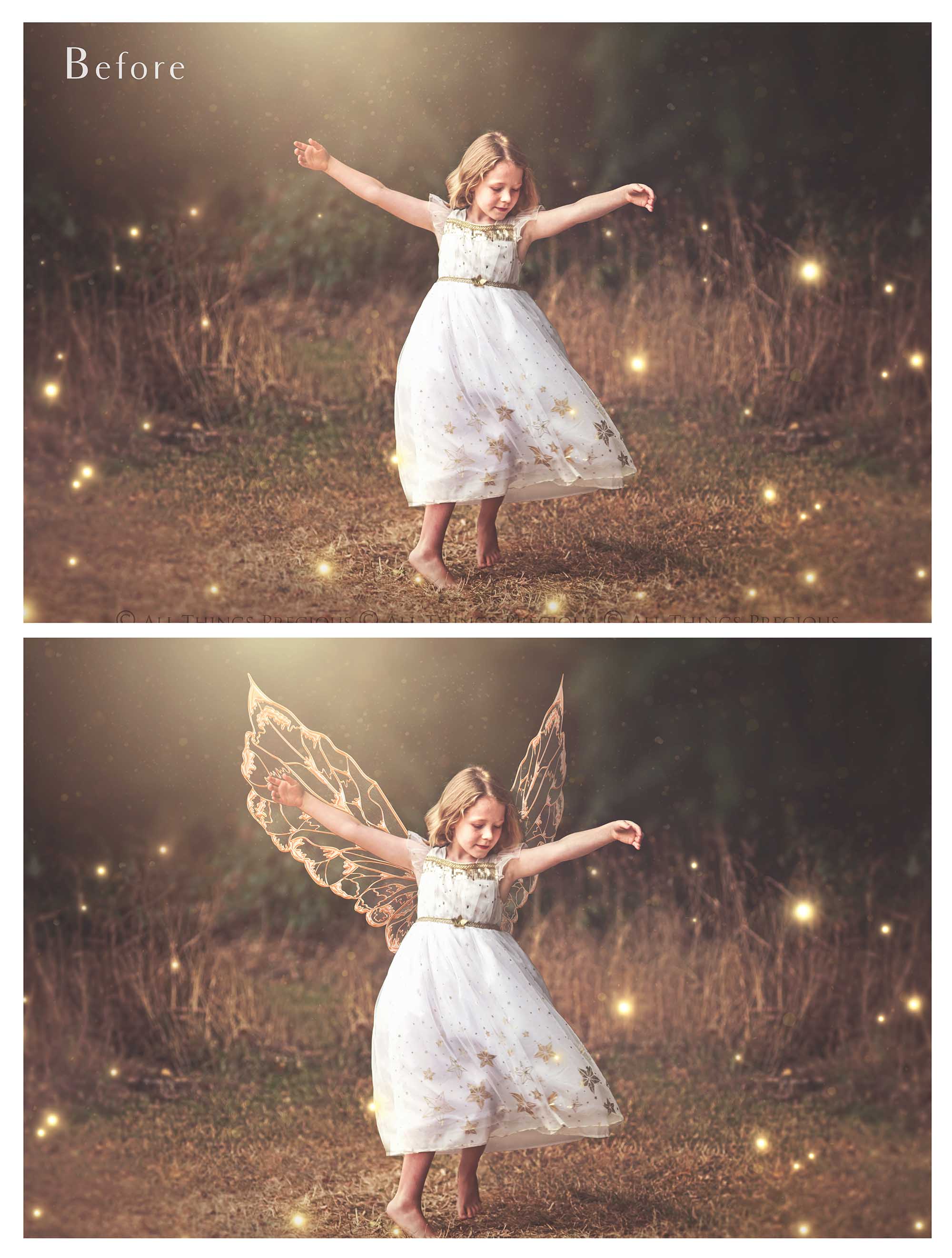 SVG FAIRY WINGS for CRICUT - Set 62